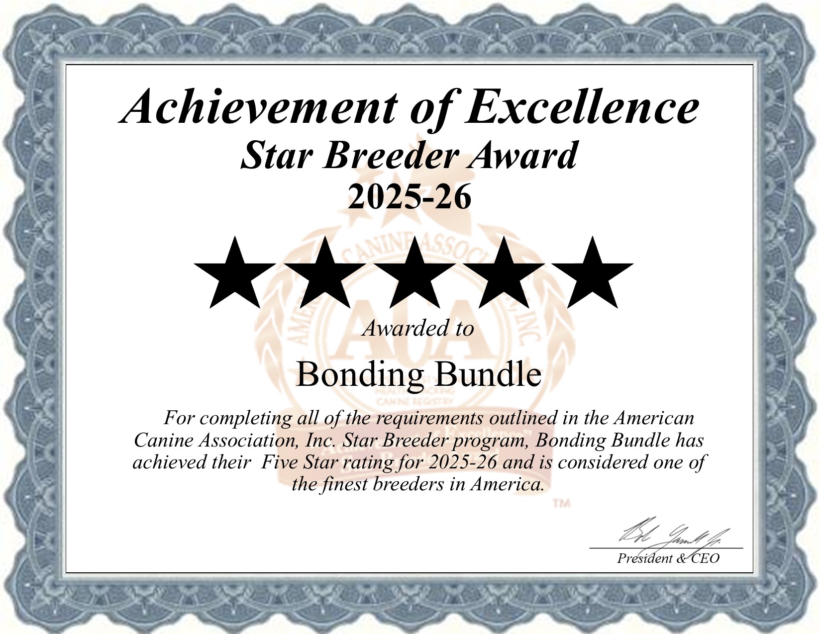 Bonding, Bundle, dog, breeder, star, certificate, Bonding-Bundle, Millersburg, OH, Ohio, puppy, dog, kennels, mill, puppymill, usda, 5-star, aca, ica, registered, Yorkshire Terrier, none